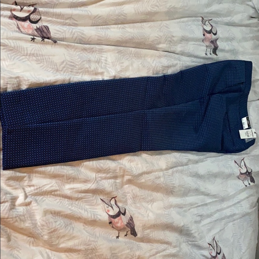 Express Columnist Ankle Pant 0r black/blue